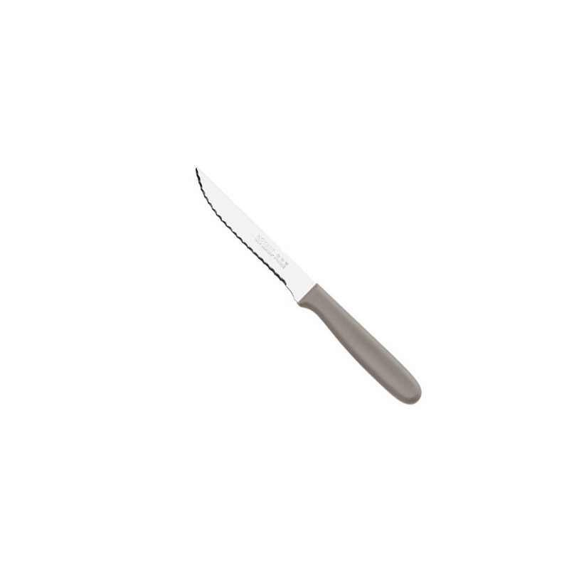 Couteaux à Steack