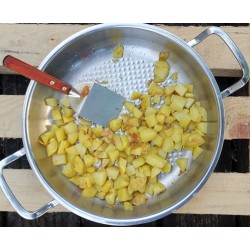 Poêle 2 anses inox Profi Collection