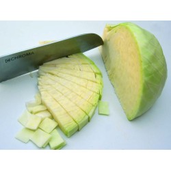 couteau japonais Haiku Santoku